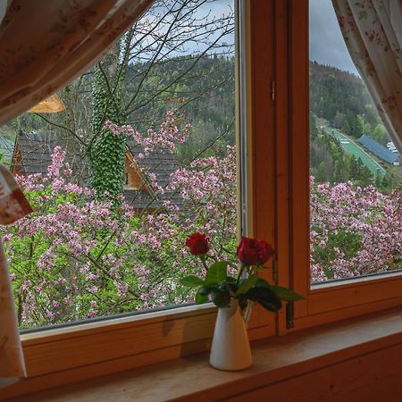 Regionalny Domek Pod Skocznia Zakopane Exteriér fotografie