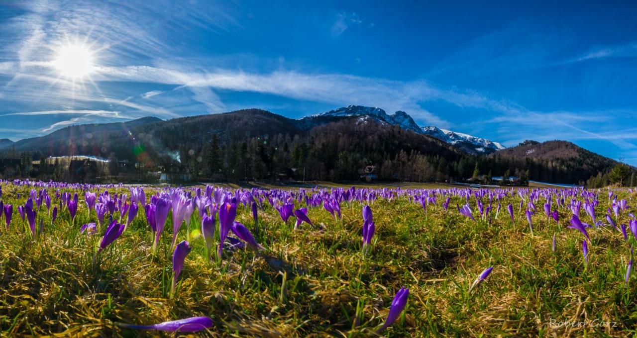 Regionalny Domek Pod Skocznia Zakopane Exteriér fotografie