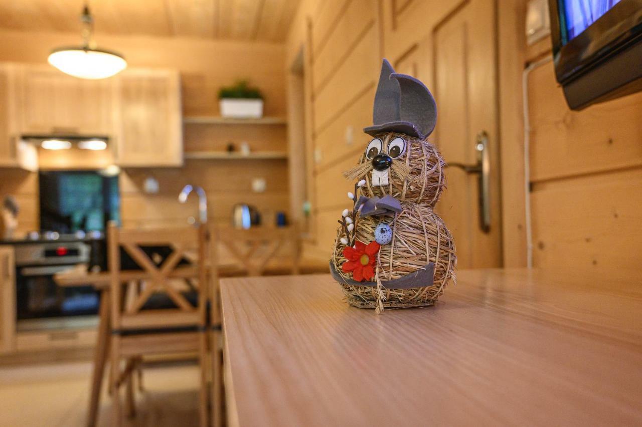 Regionalny Domek Pod Skocznia Zakopane Exteriér fotografie